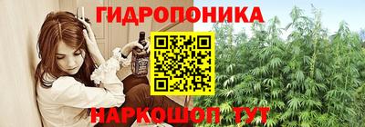 ECSTASY Краснодар