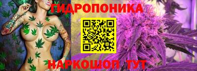 ECSTASY Краснодар