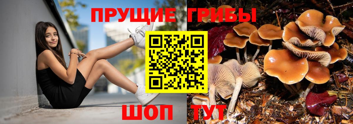 Ярцево  Галлюциногенные грибы прущие грибы  Псилоцибиновые грибы мухоморы  Вход с VPN 